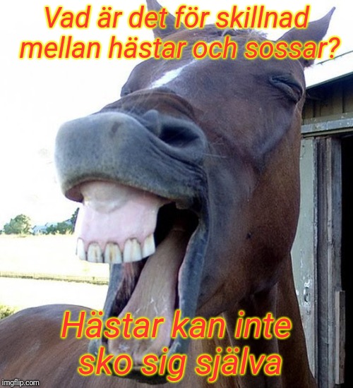 Funny Horse Face | Vad är det för skillnad mellan hästar och sossar? Hästar kan inte sko sig själva | image tagged in funny horse face | made w/ Imgflip meme maker
