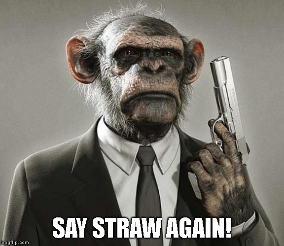 SAY STRAW AGAIN! | made w/ Imgflip meme maker