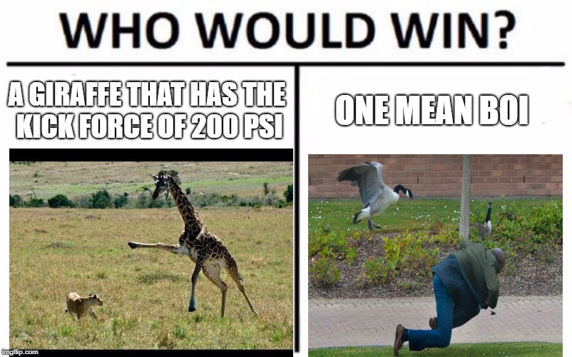Who Would Win? Meme | A GIRAFFE THAT HAS THE KICK FORCE OF 200 PSI; ONE MEAN BOI | image tagged in memes,who would win | made w/ Imgflip meme maker