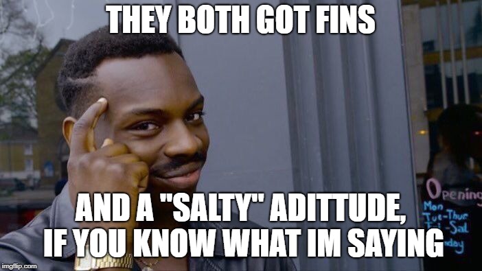Roll Safe Think About It Meme | THEY BOTH GOT FINS AND A "SALTY" ADITTUDE, IF YOU KNOW WHAT IM SAYING | image tagged in memes,roll safe think about it | made w/ Imgflip meme maker
