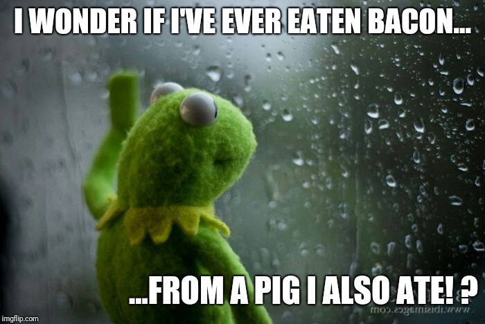 Kermit reminisce piggy | I WONDER IF I'VE EVER EATEN BACON... ...FROM A PIG I ALSO ATE! ? | image tagged in kermit the frog,miss piggy,bacon | made w/ Imgflip meme maker