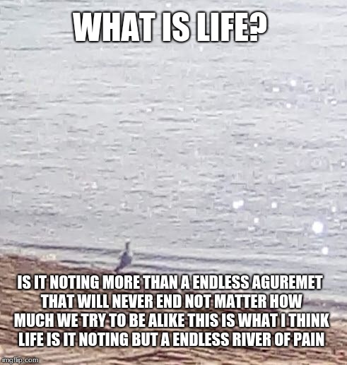 WHAT IS LIFE? IS IT NOTING MORE THAN A ENDLESS AGUREMET THAT WILL NEVER END NOT MATTER HOW MUCH WE TRY TO BE ALIKE THIS IS WHAT I THINK LIFE IS IT NOTING BUT A ENDLESS RIVER OF PAIN | image tagged in what's is life | made w/ Imgflip meme maker