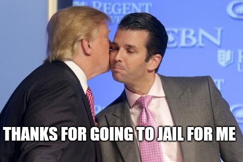 Junior takes Jail | THANKS FOR GOING TO JAIL FOR ME | image tagged in trump meme,trump russia collusion,trump russia,donald trump memes,impeach trump | made w/ Imgflip meme maker