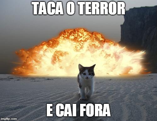 cat explosion | TACA O TERROR; E CAI FORA | image tagged in cat explosion | made w/ Imgflip meme maker