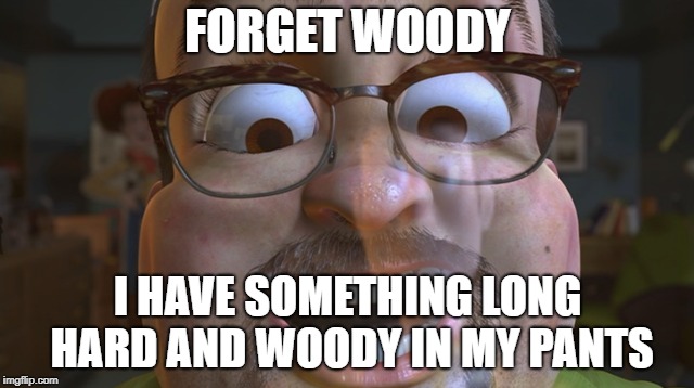 "Woody" | FORGET WOODY; I HAVE SOMETHING LONG HARD AND WOODY IN MY PANTS | image tagged in toy story | made w/ Imgflip meme maker