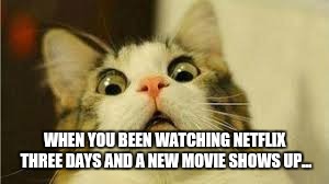 Funny animals | WHEN YOU BEEN WATCHING NETFLIX THREE DAYS AND A NEW MOVIE SHOWS UP... | image tagged in funny animals | made w/ Imgflip meme maker