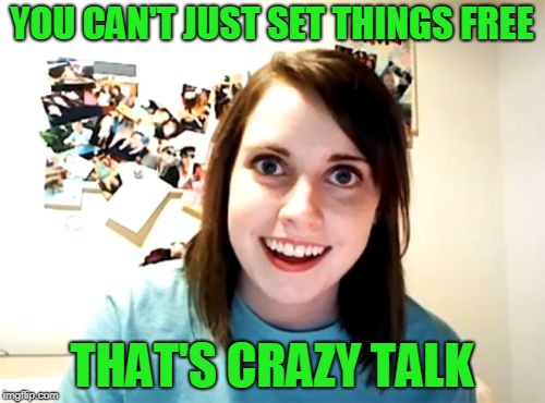 Overly Attached Girlfriend Meme | YOU CAN'T JUST SET THINGS FREE THAT'S CRAZY TALK | image tagged in memes,overly attached girlfriend | made w/ Imgflip meme maker
