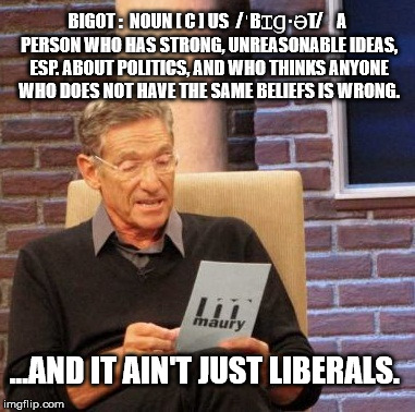 Maury Lie Detector Meme | BIGOT :
 NOUN [ C ]
US ​ /ˈBꞮꞬ·ƏT/
​	

A PERSON WHO HAS STRONG, UNREASONABLE IDEAS, ESP. ABOUT POLITICS, AND WHO THINKS ANYONE WHO DOES NOT  | image tagged in memes,maury lie detector | made w/ Imgflip meme maker