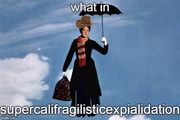 Mary Poppins flies | what in supercalifragilisticexpialidation | image tagged in mary poppins flies | made w/ Imgflip meme maker