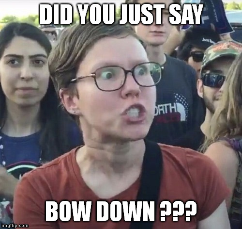 Triggered feminist | DID YOU JUST SAY BOW DOWN ??? | image tagged in triggered feminist | made w/ Imgflip meme maker