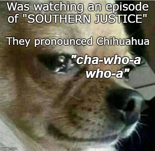 Tennessee,  Chihuahua
Cha-who-a-who-a | Was watching an episode of "SOUTHERN JUSTICE"; They pronounced Chihuahua; "cha-who-a who-a" | image tagged in crying chiwawa,southern | made w/ Imgflip meme maker