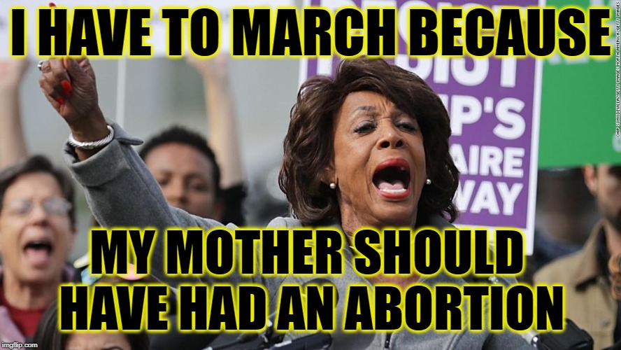 I HAVE TO MARCH BECAUSE; MY MOTHER SHOULD HAVE HAD AN ABORTION | image tagged in maxine waters,abortion,trump 2020,maga,liberalism is a mental disorder | made w/ Imgflip meme maker