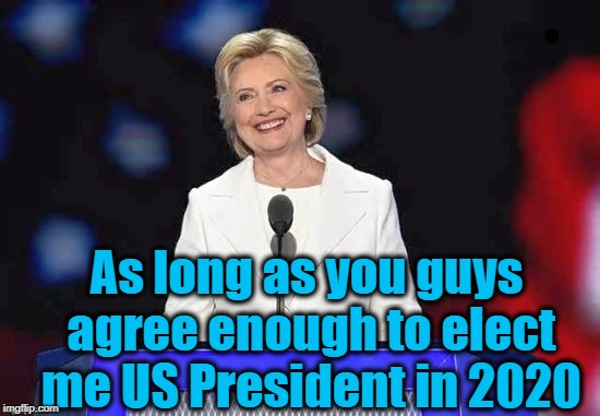 As long as you guys agree enough to elect me US President in 2020 | image tagged in hillary | made w/ Imgflip meme maker