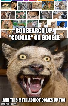 SO I SEARCH UP "COUGAR" ON GOOGLE; AND THIS METH ADDICT COMES UP TOO | image tagged in memes,cougar,google | made w/ Imgflip meme maker