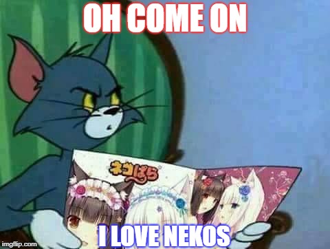 Tom and jerry | OH COME ON; I LOVE NEKOS | image tagged in tom and jerry | made w/ Imgflip meme maker