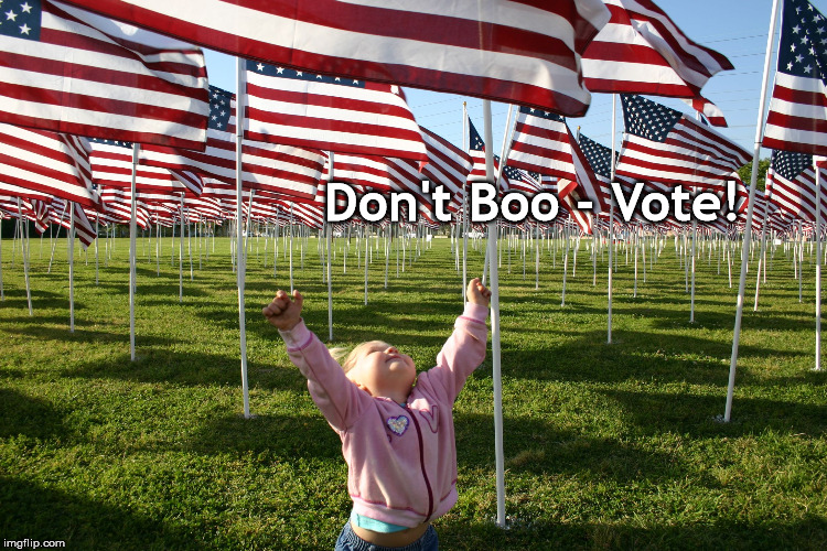 Don't Boo - Vote! | image tagged in dont boo flags vote | made w/ Imgflip meme maker