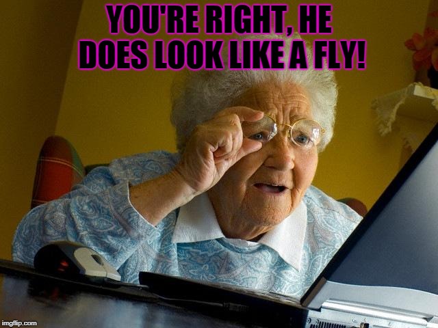 Grandma Finds The Internet Meme | YOU'RE RIGHT, HE DOES LOOK LIKE A FLY! | image tagged in memes,grandma finds the internet | made w/ Imgflip meme maker