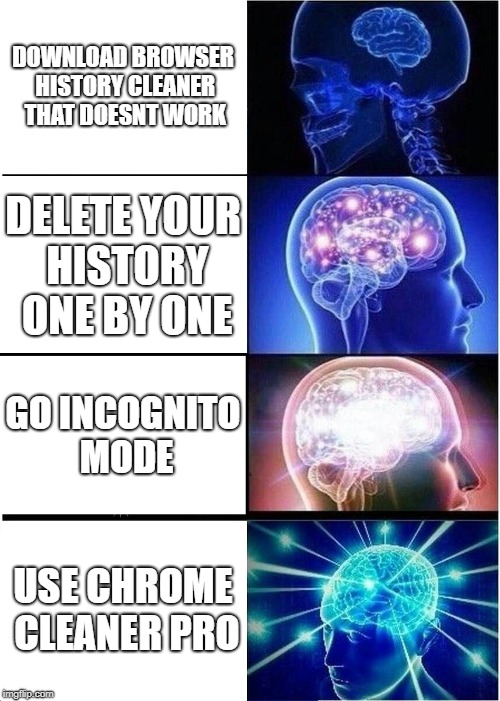 Deleting your browsing history | DOWNLOAD BROWSER HISTORY CLEANER THAT DOESNT WORK; DELETE YOUR HISTORY ONE BY ONE; GO INCOGNITO MODE; USE CHROME CLEANER PRO | image tagged in memes,expanding brain | made w/ Imgflip meme maker