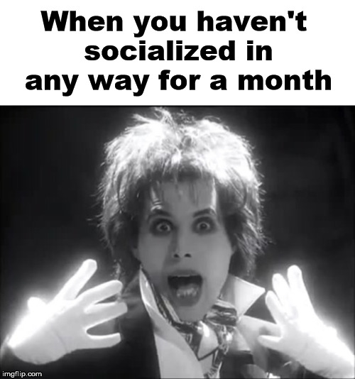 A little personal here |  When you haven't socialized in any way for a month | image tagged in freddie mercury,queen,socializing | made w/ Imgflip meme maker