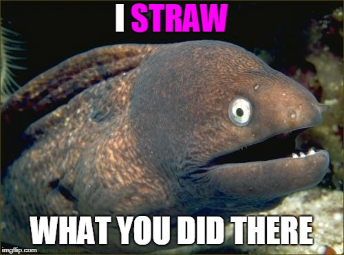 Bad Joke Eel Meme | I STRAW WHAT YOU DID THERE STRAW | image tagged in memes,bad joke eel | made w/ Imgflip meme maker