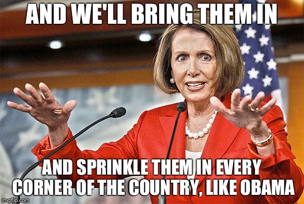 Nancy Pelosi is crazy | AND WE'LL BRING THEM IN AND SPRINKLE THEM IN EVERY CORNER OF THE COUNTRY, LIKE OBAMA | image tagged in nancy pelosi is crazy | made w/ Imgflip meme maker