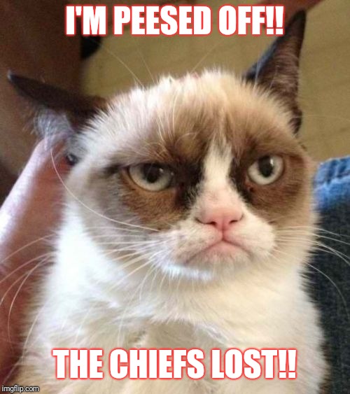 Tech N9ne's Cat | I'M PEESED OFF!! THE CHIEFS LOST!! | image tagged in mad,kansas city chiefs,pissed off,football,drunk | made w/ Imgflip meme maker