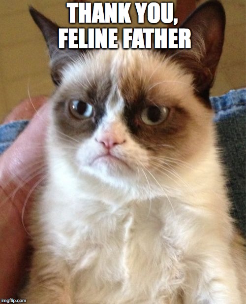 Grumpy Cat Meme | THANK YOU, FELINE FATHER | image tagged in memes,grumpy cat | made w/ Imgflip meme maker