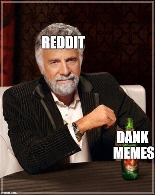 The Most Interesting Man In The World Meme | REDDIT; DANK MEMES | image tagged in memes,the most interesting man in the world | made w/ Imgflip meme maker