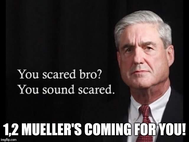 Tea party  | 1,2 MUELLER'S COMING FOR YOU! | image tagged in donald trump | made w/ Imgflip meme maker