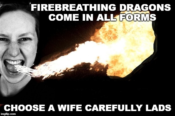 Dragon wife | FIREBREATHING DRAGONS COME IN ALL FORMS; CHOOSE A WIFE CAREFULLY LADS | image tagged in dragon wife | made w/ Imgflip meme maker