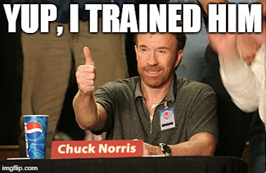 Chuck Norris Approves Meme | YUP, I TRAINED HIM | image tagged in memes,chuck norris approves,chuck norris | made w/ Imgflip meme maker