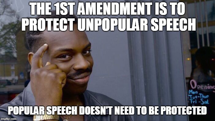 Roll Safe Think About It Meme | THE 1ST AMENDMENT IS TO PROTECT UNPOPULAR SPEECH POPULAR SPEECH DOESN'T NEED TO BE PROTECTED | image tagged in memes,roll safe think about it | made w/ Imgflip meme maker