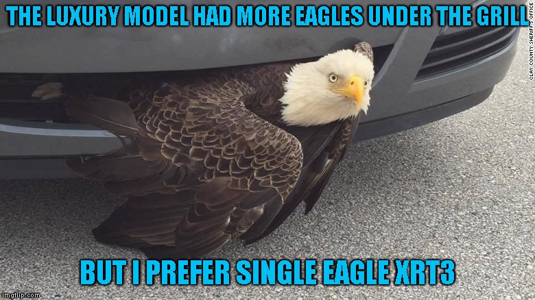 Thundercougarfalconbird | THE LUXURY MODEL HAD MORE EAGLES UNDER THE GRILL; BUT I PREFER SINGLE EAGLE XRT3 | image tagged in eagle | made w/ Imgflip meme maker