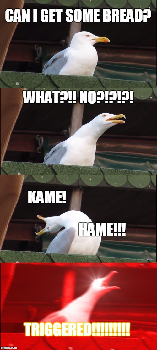 Inhaling Seagull Meme | CAN I GET SOME BREAD? WHAT?!! NO?!?!?! KAME! HAME!!! TRIGGERED!!!!!!!!! | image tagged in memes,inhaling seagull | made w/ Imgflip meme maker