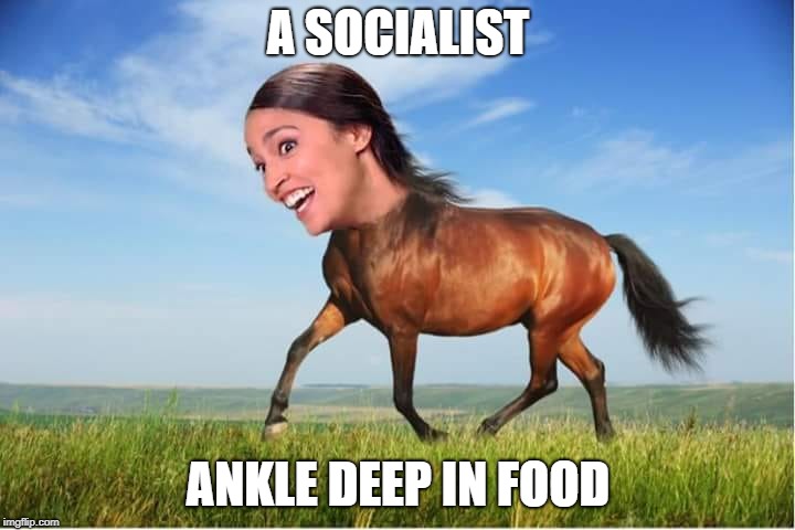 Horsecasio-Horsetez | A SOCIALIST; ANKLE DEEP IN FOOD | image tagged in horsecasio-horsetez | made w/ Imgflip meme maker