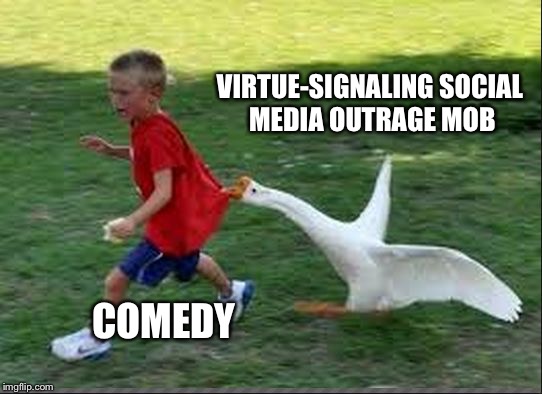goose chase | VIRTUE-SIGNALING SOCIAL MEDIA OUTRAGE MOB; COMEDY | image tagged in goose chase | made w/ Imgflip meme maker