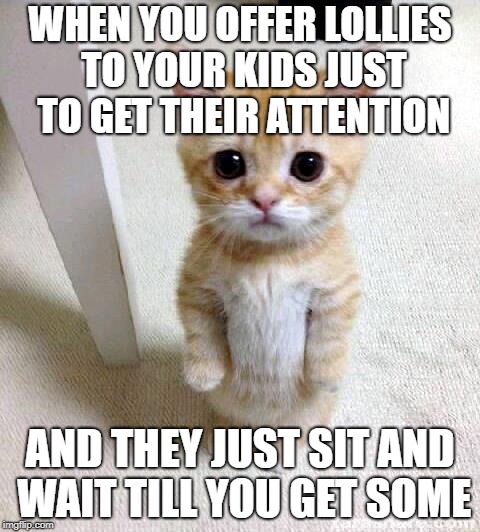 Cute Cat | WHEN YOU OFFER LOLLIES TO YOUR KIDS JUST TO GET THEIR ATTENTION; AND THEY JUST SIT AND WAIT TILL YOU GET SOME | image tagged in memes,cute cat | made w/ Imgflip meme maker