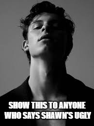 SHOW THIS TO ANYONE WHO SAYS SHAWN'S UGLY | image tagged in celebrity | made w/ Imgflip meme maker