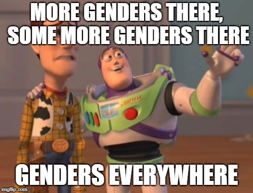 X, X Everywhere | MORE GENDERS THERE, SOME MORE GENDERS THERE; GENDERS EVERYWHERE | image tagged in memes,x x everywhere | made w/ Imgflip meme maker