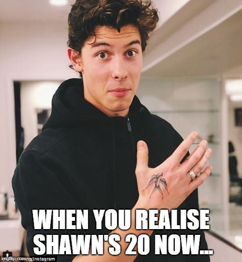 WHEN YOU REALISE SHAWN'S 20 NOW... | image tagged in happy birthday | made w/ Imgflip meme maker