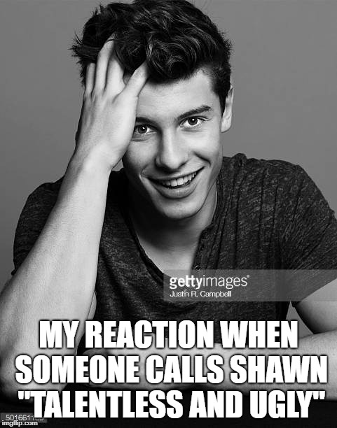 MY REACTION WHEN SOMEONE CALLS SHAWN "TALENTLESS AND UGLY" | image tagged in celebrity | made w/ Imgflip meme maker