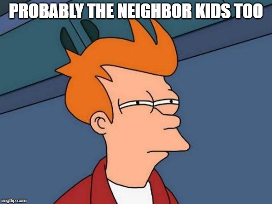 Futurama Fry Meme | PROBABLY THE NEIGHBOR KIDS TOO | image tagged in memes,futurama fry | made w/ Imgflip meme maker