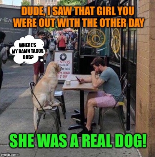 Dog Date Afternoon | WHERE’S MY DAMN TACOS, BOB? | image tagged in doggy,date,funny memes | made w/ Imgflip meme maker