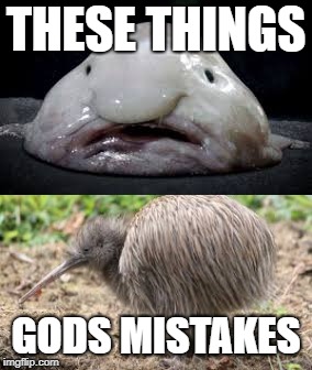 THESE THINGS GODS MISTAKES | made w/ Imgflip meme maker