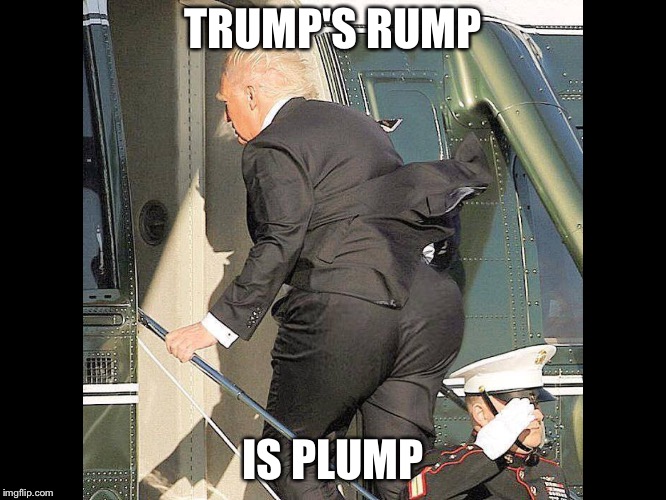 Trump's Rump is Plump | TRUMP'S RUMP; IS PLUMP | image tagged in trump,rump,plump | made w/ Imgflip meme maker
