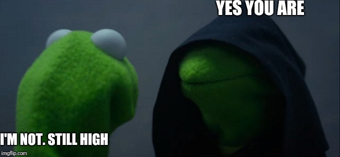 Evil Kermit | YES YOU ARE; I'M NOT. STILL HIGH | image tagged in memes,evil kermit | made w/ Imgflip meme maker