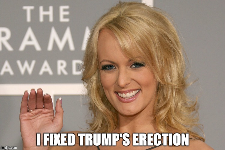 Stormy Daniels | I FIXED TRUMP'S ERECTION | image tagged in stormy daniels | made w/ Imgflip meme maker