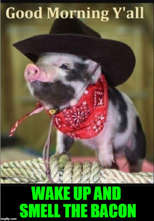 Sometimes I'm a Little Pig ──when it comes to Bacon | WAKE UP AND SMELL THE BACON | image tagged in vince vance,animal meme,baby pig please do not eat bacon,pig dressed like cowboy,good morning,cute animals | made w/ Imgflip meme maker