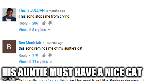 Sia's "Elastic Heart" stretches the imagination | HIS AUNTIE MUST HAVE A NICE CAT | image tagged in memes,youtube comments,youtube | made w/ Imgflip meme maker