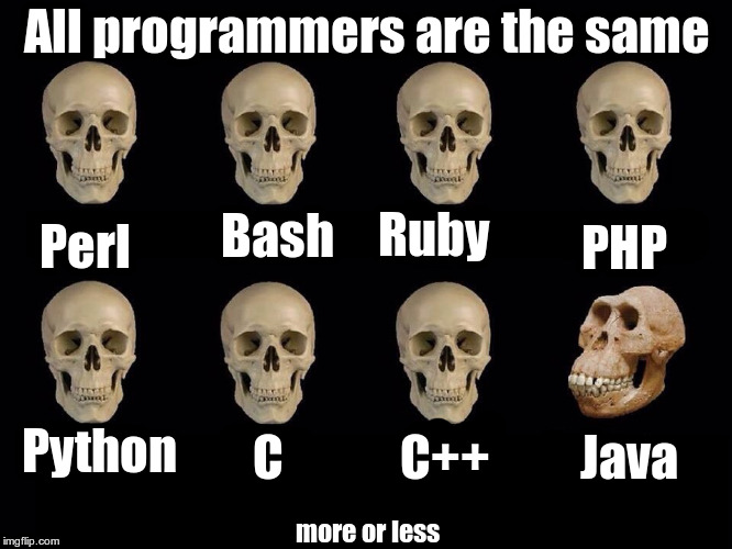 Skulls of truth | All programmers are the same; Bash; Ruby; PHP; Perl; Python; C; Java; C++; more or less | image tagged in skulls of truth | made w/ Imgflip meme maker